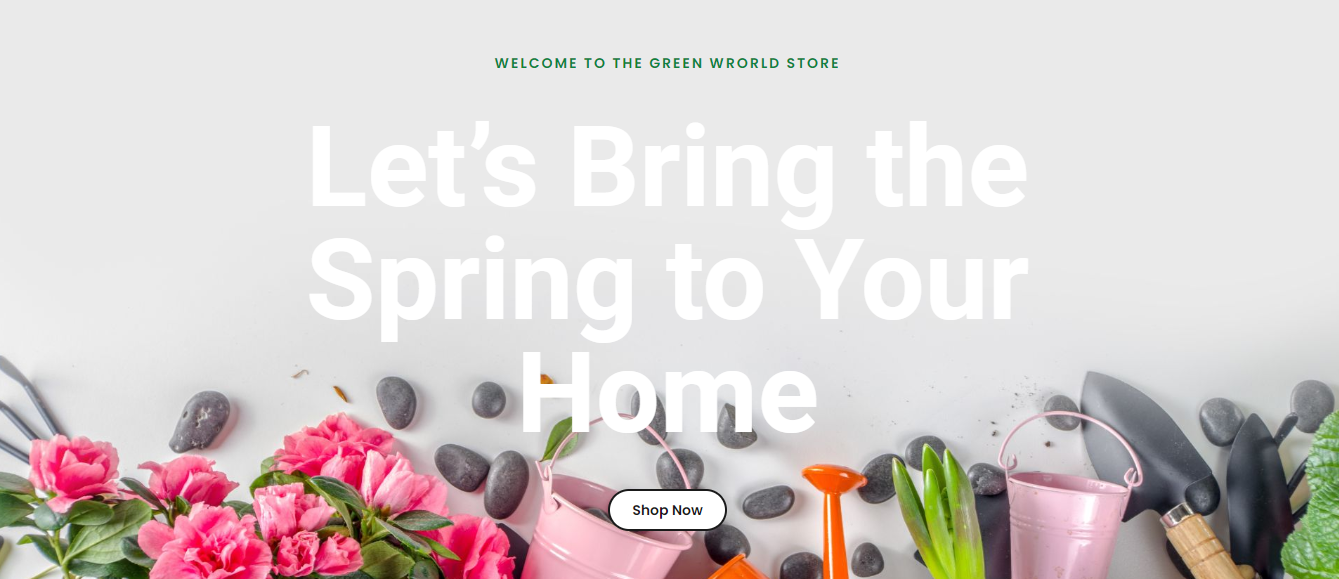 ecommerce – Home – Mi Agencia Web Design Demo - Google Chrome 29_09_2022 02_00_51